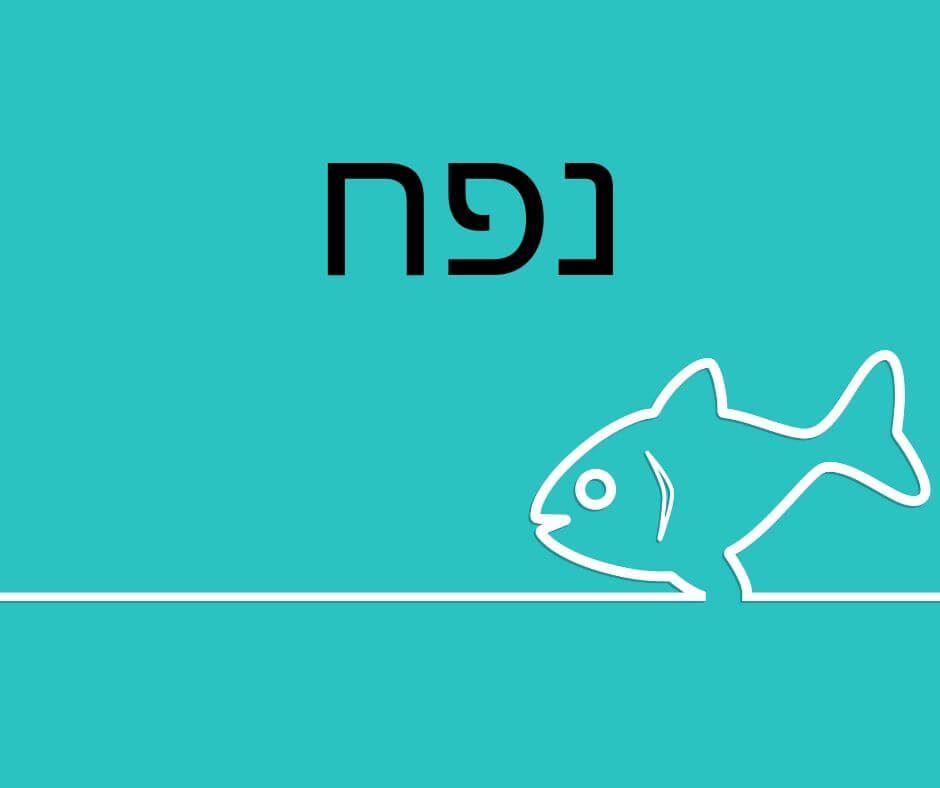 חישוב נפח האקווריום