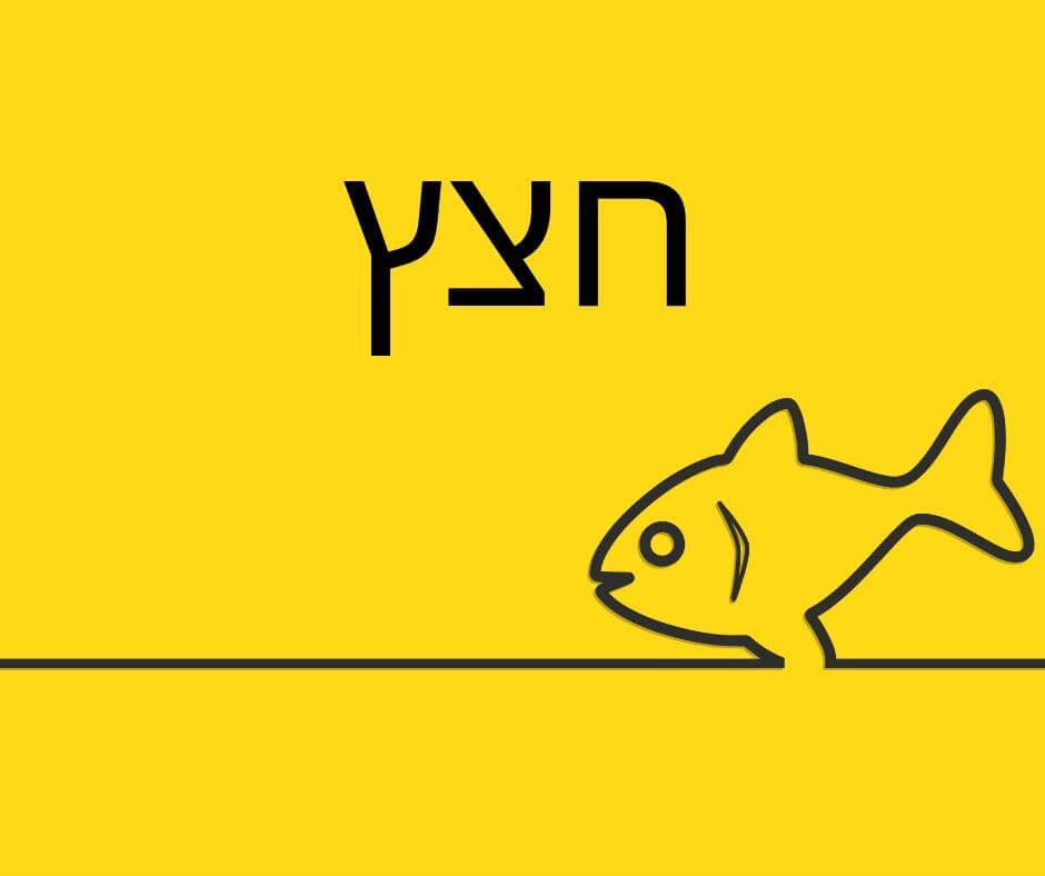 חישוב כמות חצץ לאקווריום